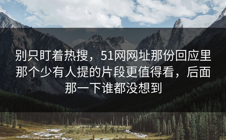 别只盯着热搜，51网网址那份回应里那个少有人提的片段更值得看，后面那一下谁都没想到